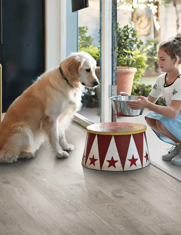 dog can eat inside with pergo elements flooring