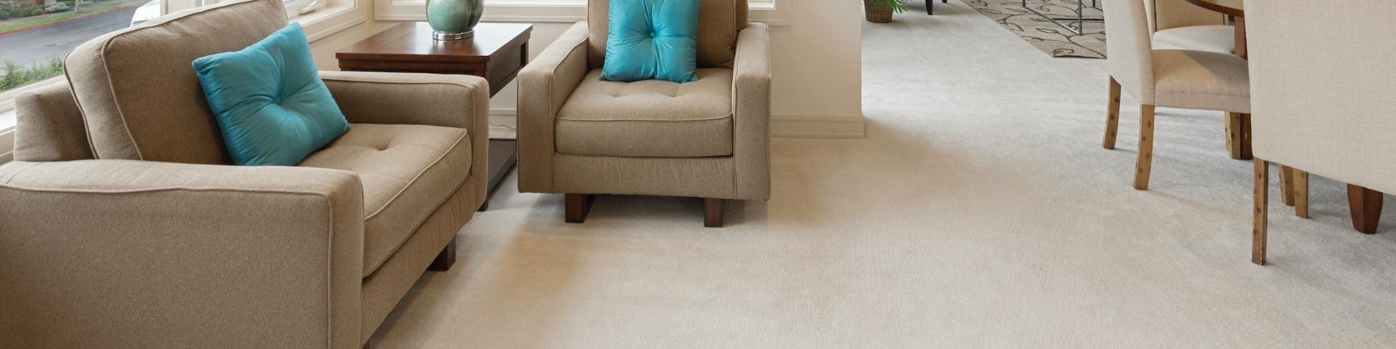 Soft looking carpet in a bright living room